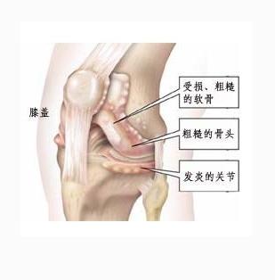 生活经验的作用:如何利用个人经历做出更明智决策与避免重复错误 生活经验的作用:如何利用个人经历做出更明智决策与避免重复错误