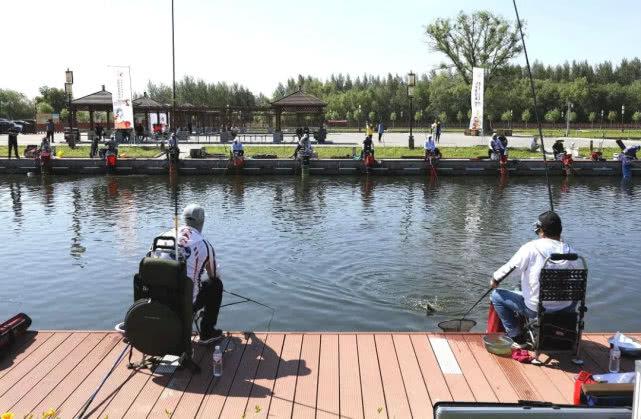 生活经验指什么?掌握这6个关键点,让你的人生少走弯路更从容 生活经验指什么?掌握这6个关键点,让你的人生少走弯路更从容