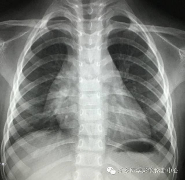 生活经验的定义:掌握日常智慧,轻松应对人生挑战 生活经验的定义:掌握日常智慧,轻松应对人生挑战