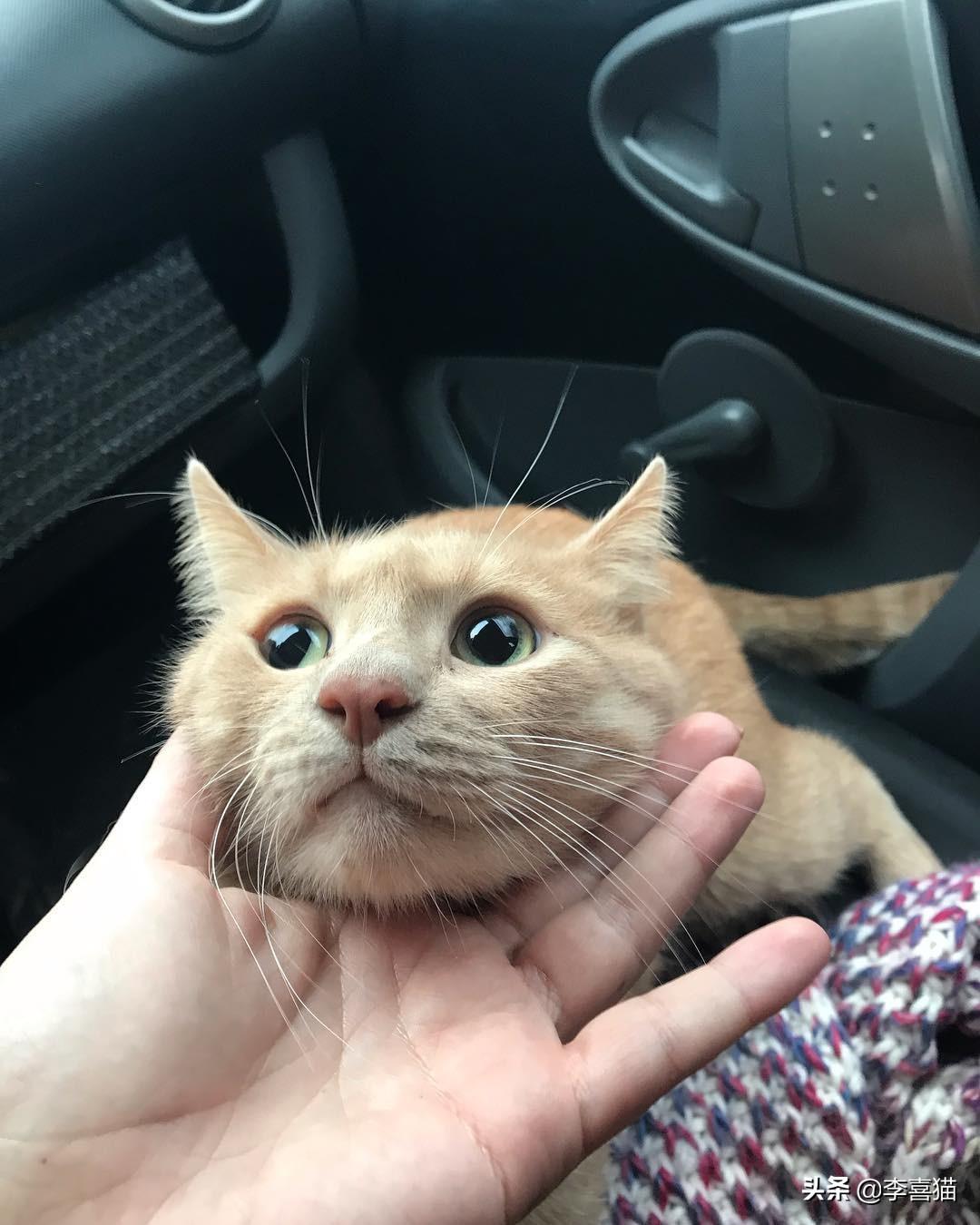 生活经营管理的理解：如何用企业经营思维轻松掌控个人生活，告别失控烦恼