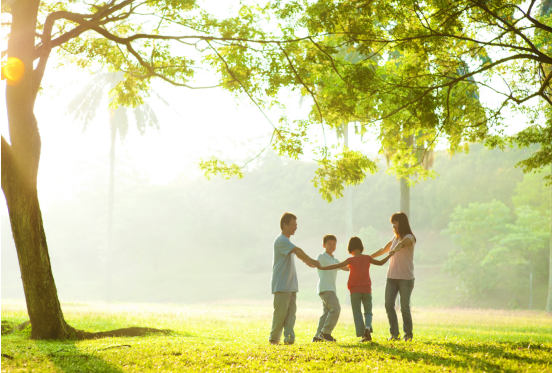 生活经验分享案例：从平凡日常中打捞诗意，让真实瞬间绽放动人光芒