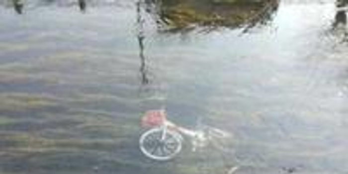 生活经验分享案例：从平凡日常中打捞诗意，让真实瞬间绽放动人光芒