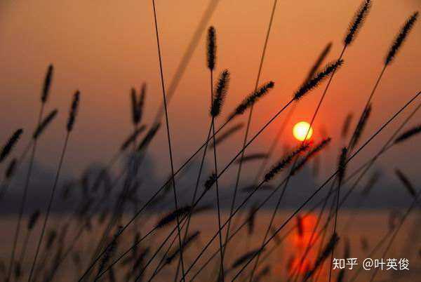 生活经历分享:为什么值得说出藏在记忆深处的故事,以及如何发现和表达 生活经历分享:为什么值得说出藏在记忆深处的故事,以及如何发现和表达