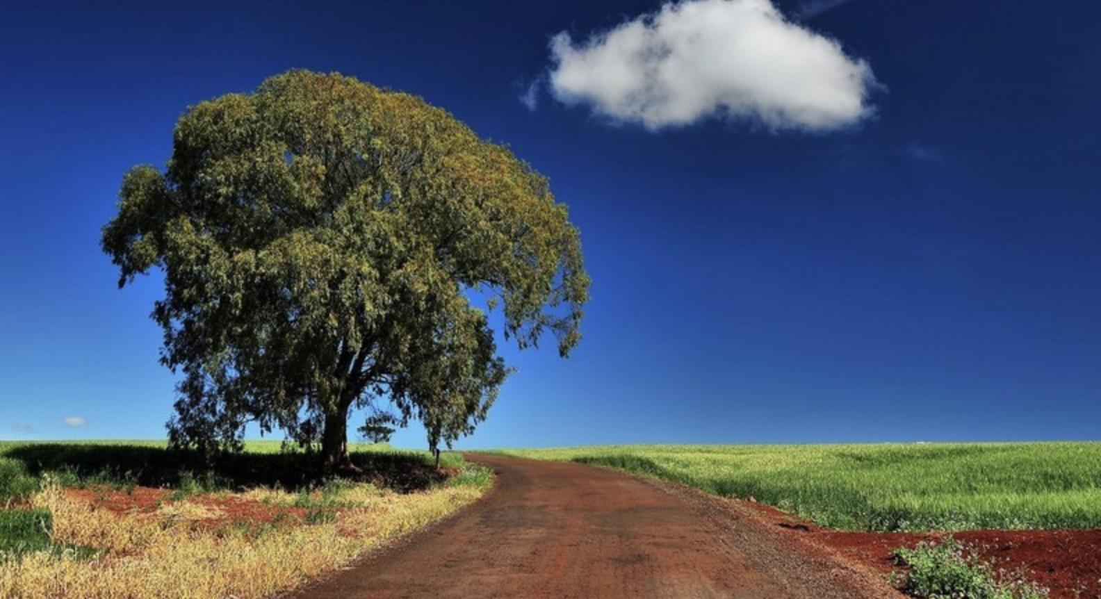 关于生活经验：从日常中提炼智慧，让生活更从容快乐