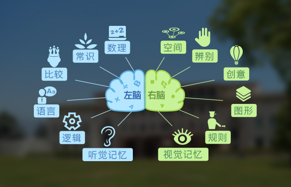 什么叫生活经验和常识？掌握这两个认知伙伴，让生活决策更轻松高效