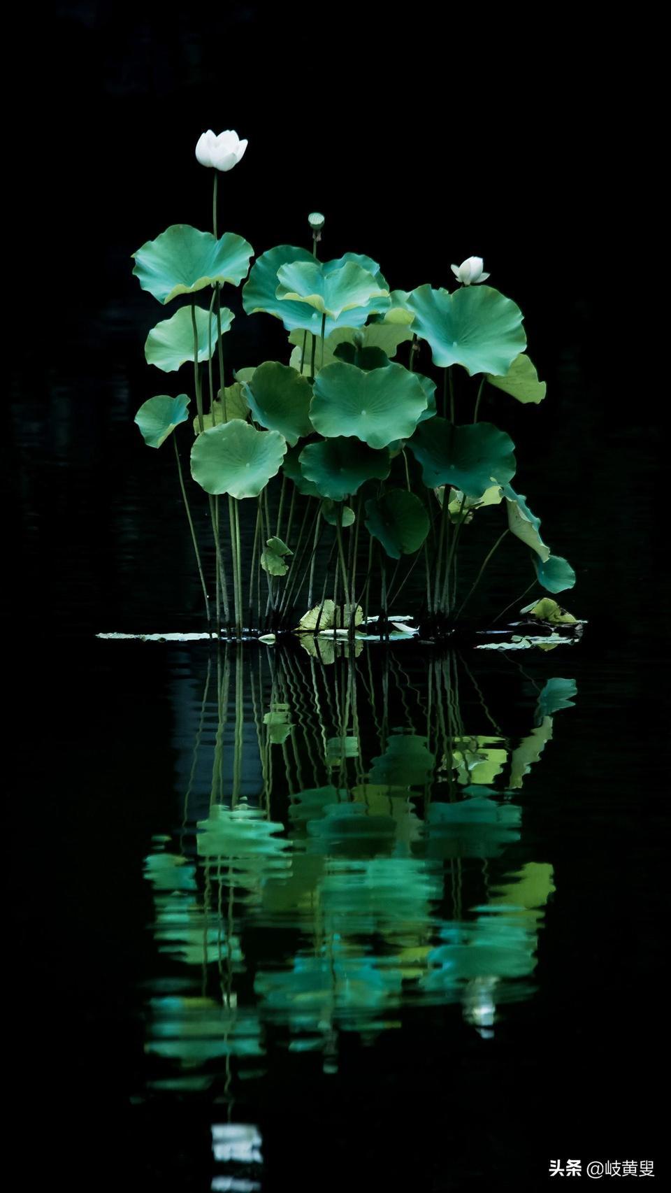 生活的经验：如何从日常中汲取智慧，轻松解决人生难题