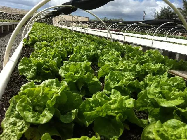 生活经验怎么形容？5个技巧让你轻松表达个人智慧，解决沟通难题