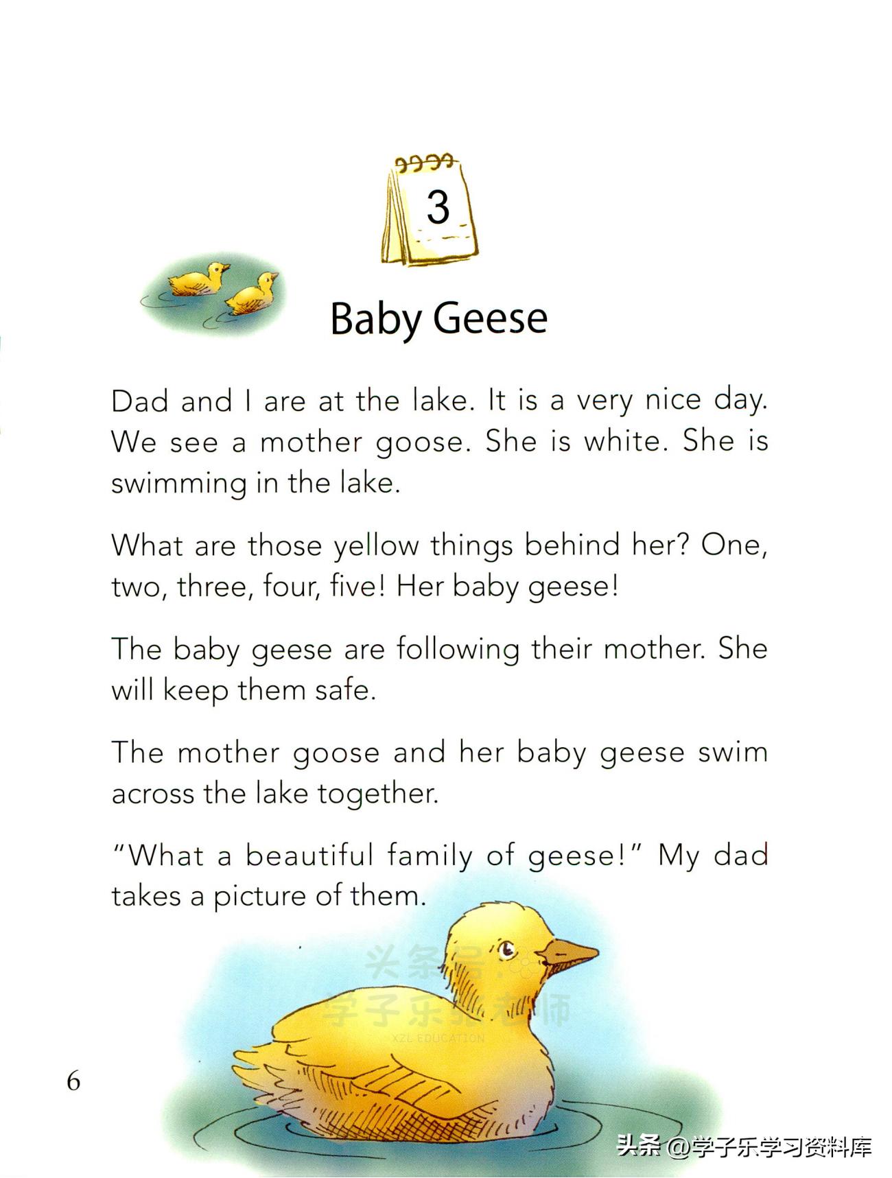 关于生活经历的英语演讲稿：如何用真实故事打动听众并轻松掌握演讲技巧