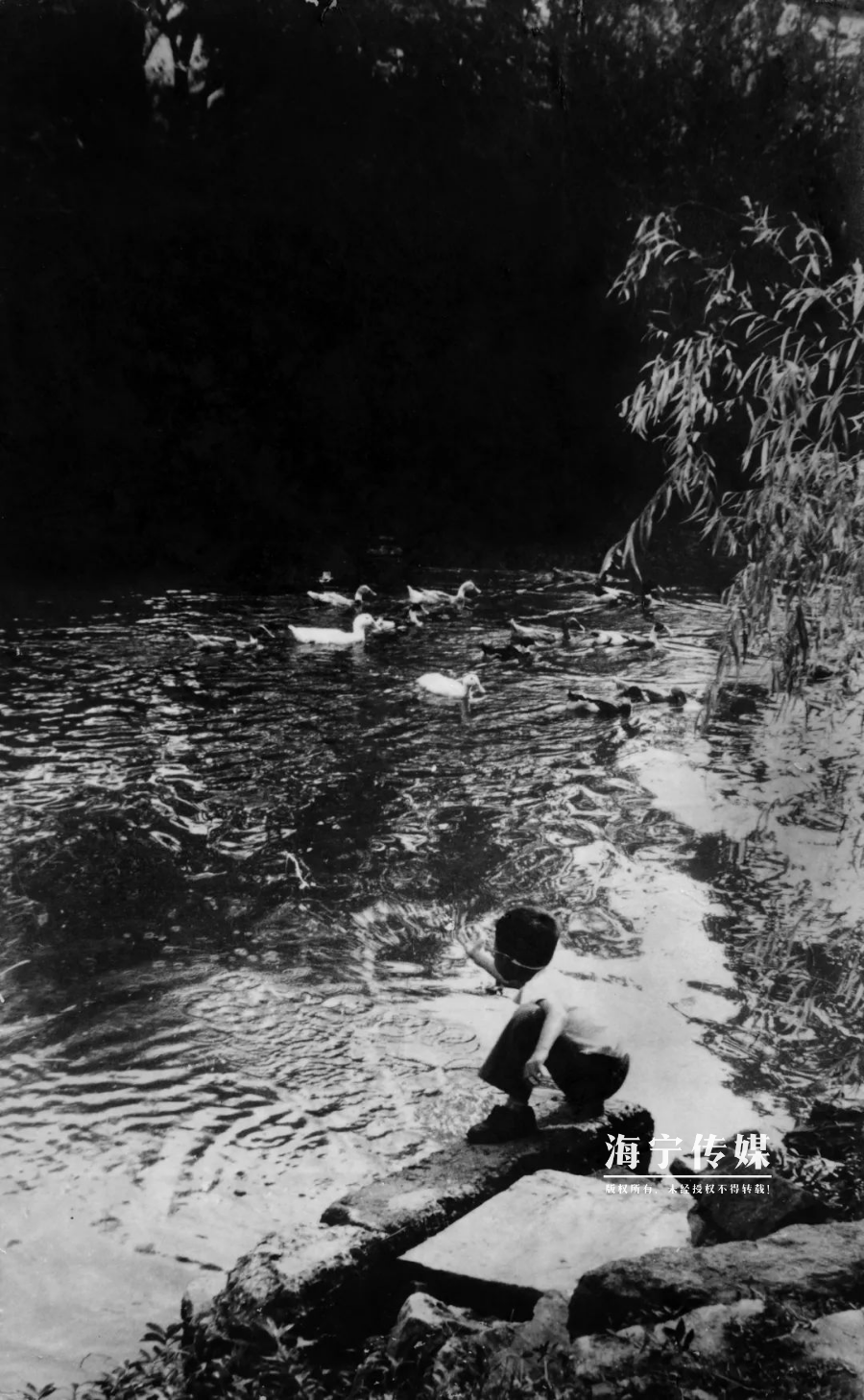 生活经验图片：用真实画面记录日常，让记忆更有温度