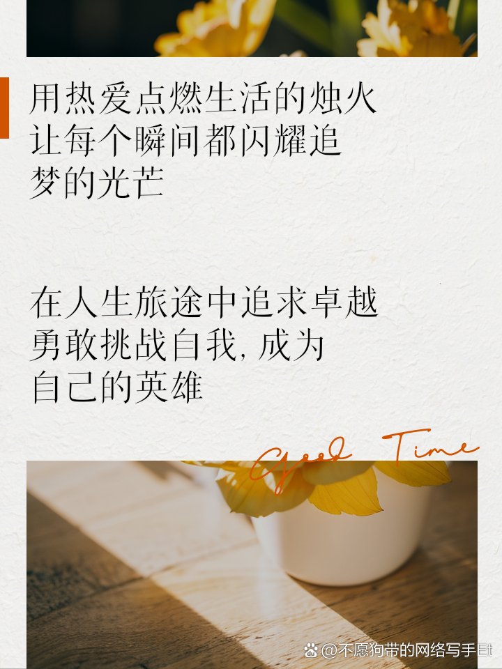 生活经历经典语录：从平凡瞬间汲取人生智慧，照亮日常选择与成长