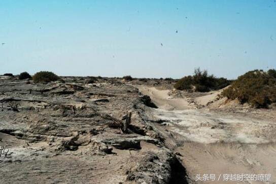 如何增加生活经历：让生命更丰盈的实用指南