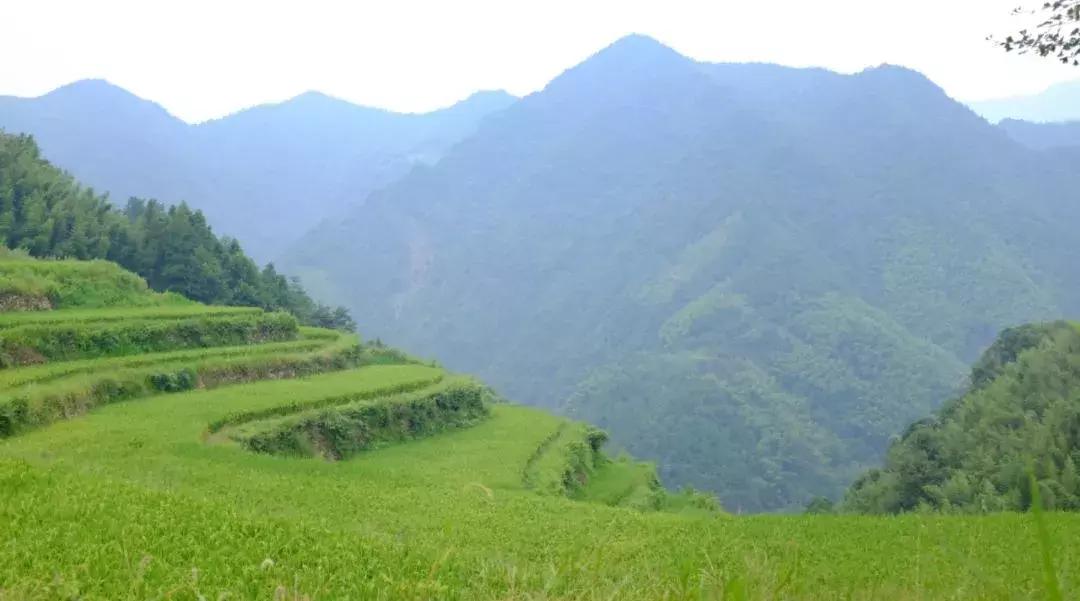 生活经历短句:捕捉生活精髓的便捷记录方式,让每个瞬间都充满诗意与快乐 生活经历短句:捕捉生活精髓的便捷记录方式,让每个瞬间都充满诗意与快乐