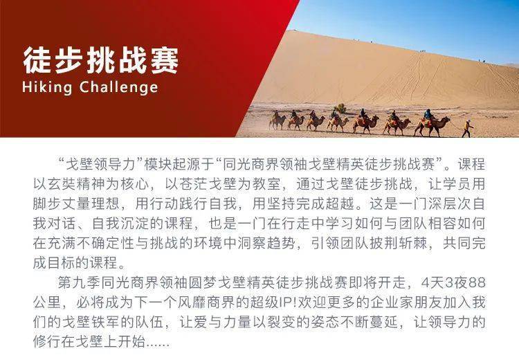 生活经验总结简短20字：让智慧浓缩，轻松掌握人生精髓