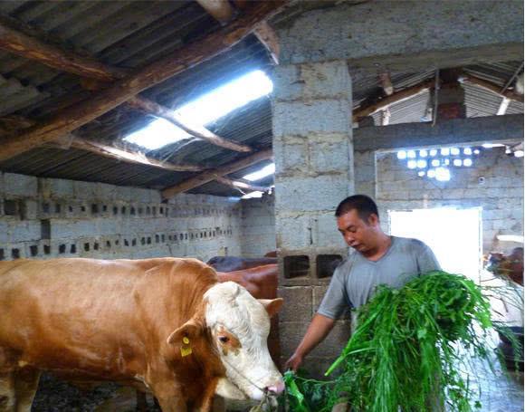 生活经验和生活常识是什么?掌握这些让你生活更轻松快乐 生活经验和生活常识是什么?掌握这些让你生活更轻松快乐